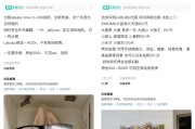 龟壳摇卦闲鱼：LABUBU搜索量环比上涨1000%，供不应求下现租赁新形式