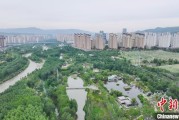 龟壳摇卦西宁市举办六五环境日主题宣传活动