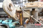 龟壳摇卦小蚕虫变身“产业龙”，广西这座小城如何实现“破茧重生”？