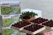 龟壳摇卦高速赋能产业升级：一条“杨梅路”的致富密码