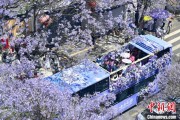 龟壳摇卦2024年云南重点高原湖泊水质稳定 抚仙湖达Ⅰ类