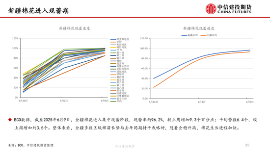 【棉花纺谈】供应端阶段性缩(🙃)量 疆棉基差坚挺